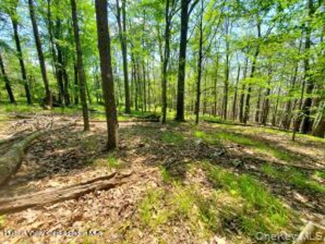 Land for sale in Pine Bush, New York