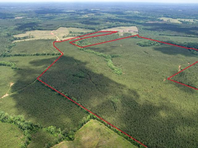 Commercial for sale in Saluda, South Carolina