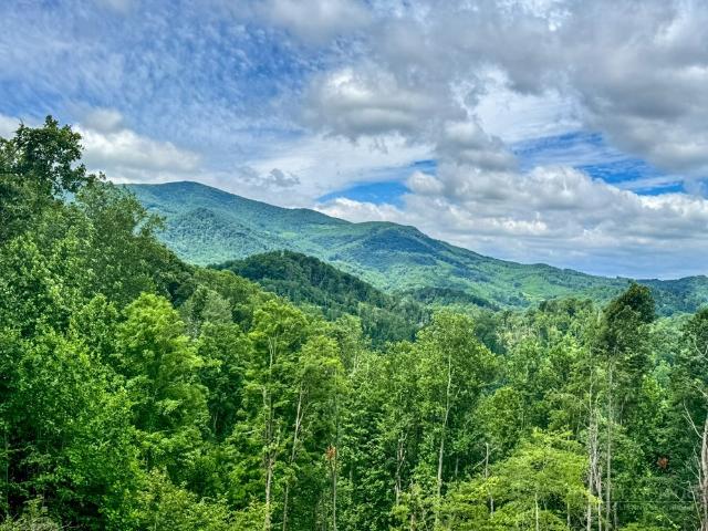 Land for sale in Elk Park, Avery County