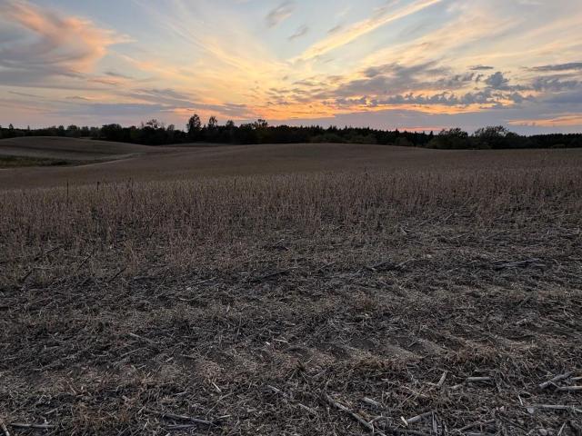 Land for sale in Dent, Minnesota