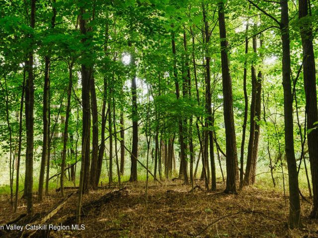 Land for sale in Town of Plattekill, Ulster County