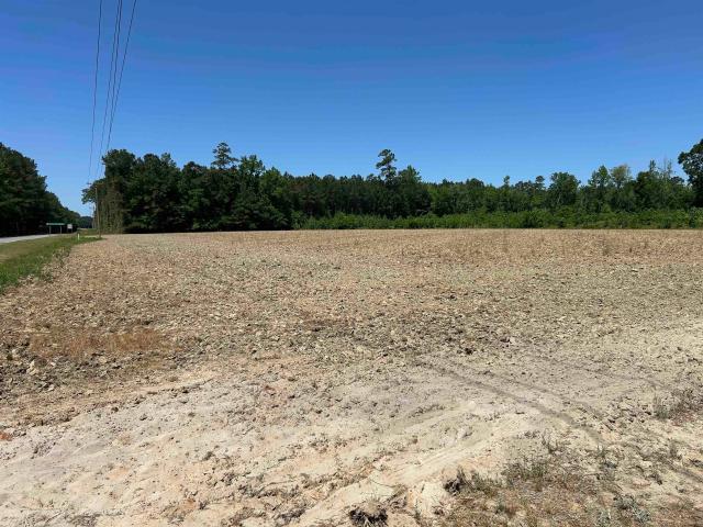 Land for sale in Hemingway, South Carolina