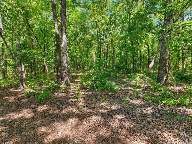 Land for sale in Ark