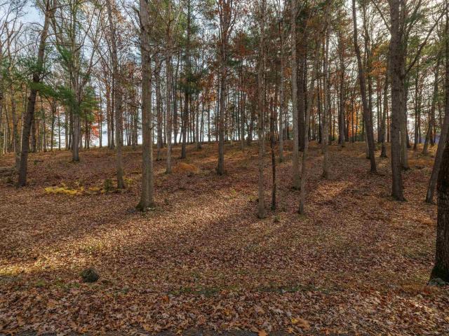 Land for sale in Virginia