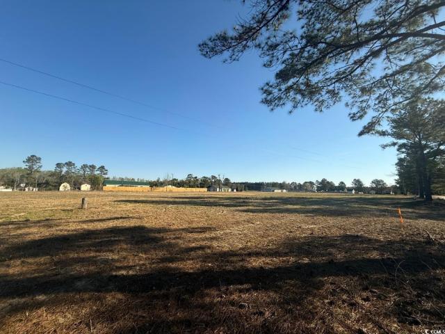 Land for sale in Latta, South Carolina