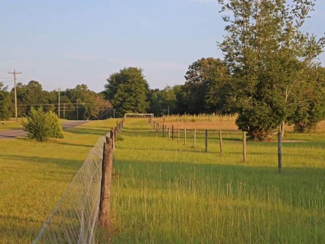 Land for sale in Wagener