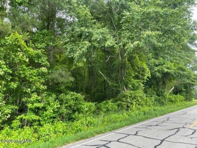 Land for sale in Watha, North Carolina