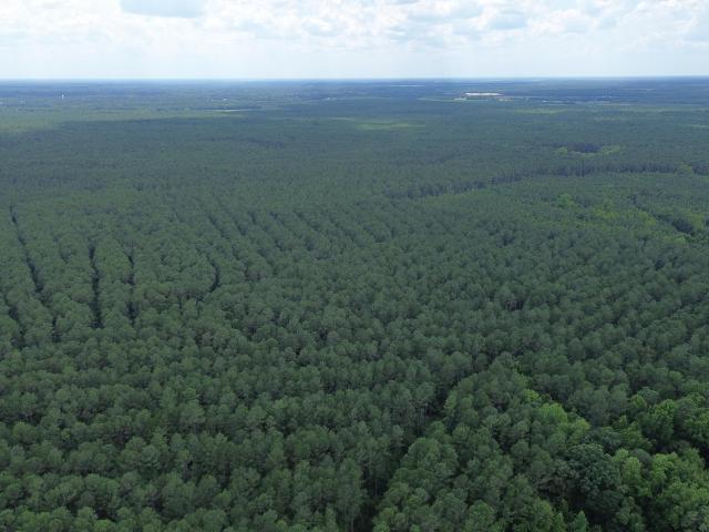 Land for sale in Atkinson, North Carolina