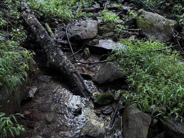 Land for sale in Independence, Grayson County