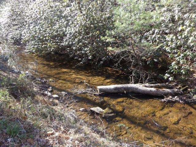 Land for sale in Virginia