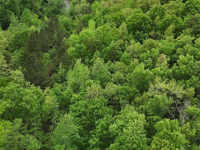 Land for sale in Ark