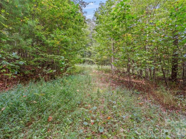 Land for sale in Spruce Pine, North Carolina