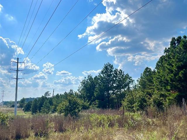 Land for sale in Paige, Texas