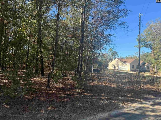 Land for sale in Bamberg, South Carolina