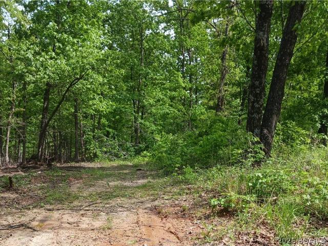 Land for sale in Stover, Missouri