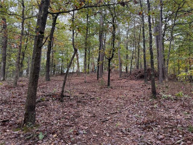 Land for sale in Ark