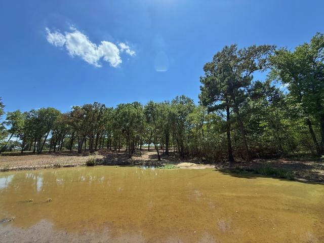 Land for sale in Leon, Texas