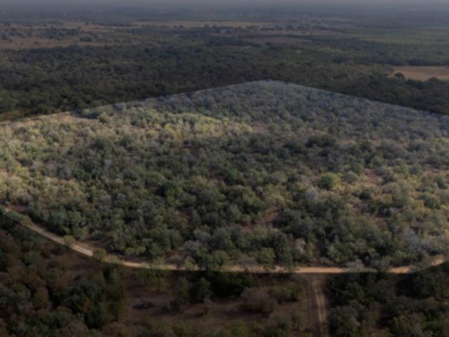 Land for sale in Nixon, Texas
