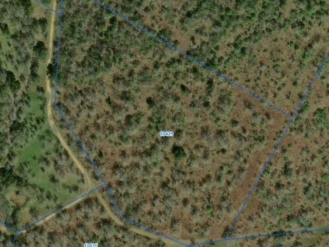 Land for sale in Nixon, Texas