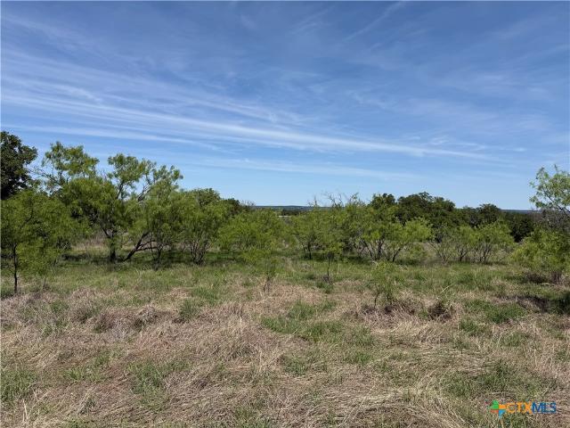 Land for sale in Hamilton, Texas