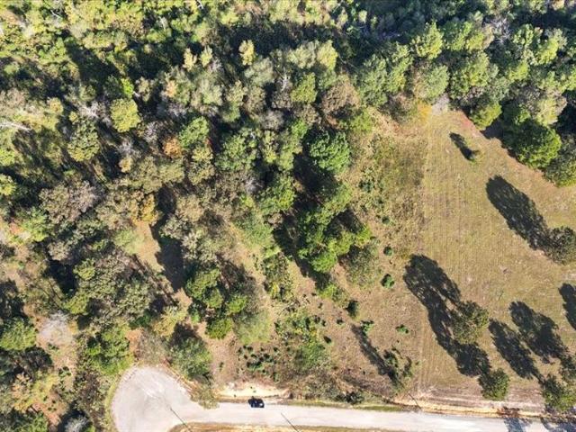 Land for sale in Big Sandy, Texas