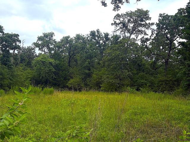 Land for sale in Leon, Texas