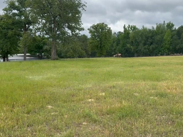 Land for sale in Marquez, Leon County