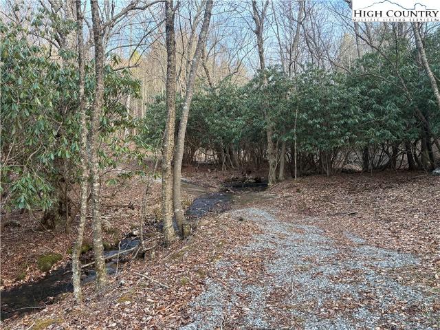 Land for sale in Alleghany, North Carolina