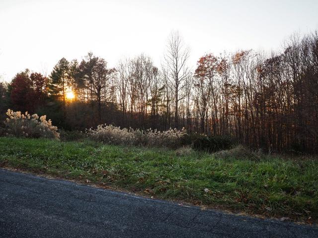 Land for sale in Virginia