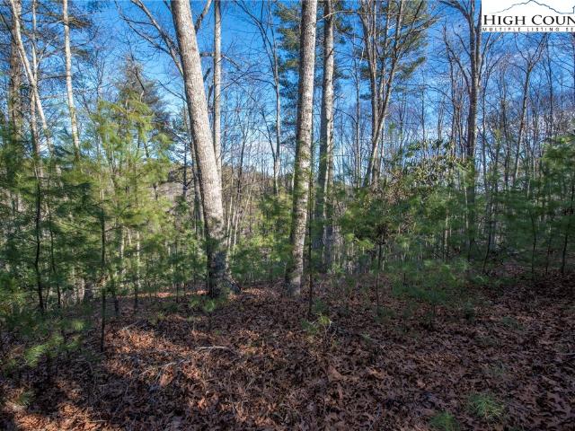 Land for sale in Alleghany, North Carolina