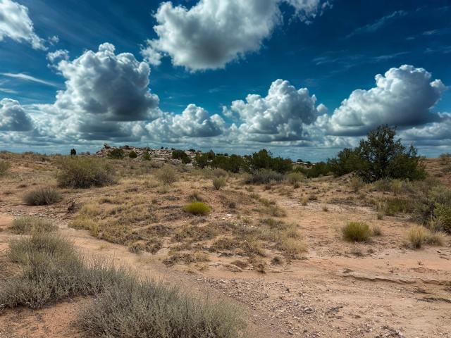 Land for sale in Fruita, Colorado