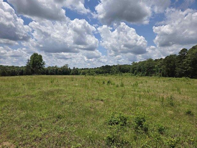 Land for sale in Gilchrist, Texas