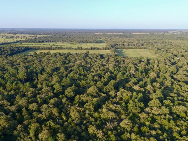 Farm for sale in Dime Box, Texas