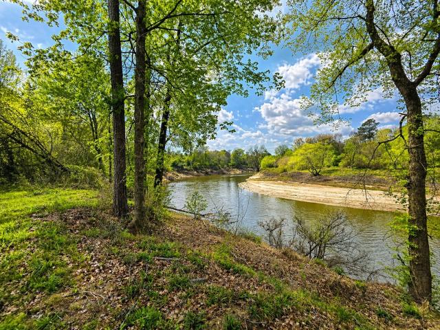 Land for sale in Panola, Texas
