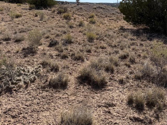Land for sale in Abiquiu, New Mexico