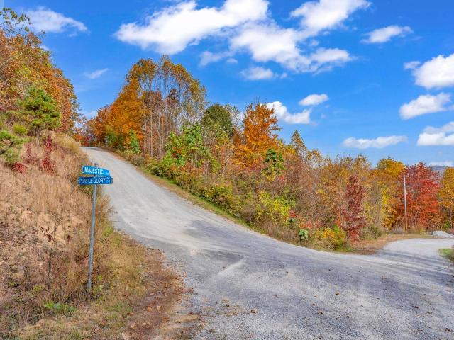 Land for sale in Virginia