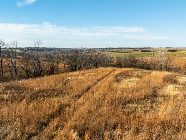Land for sale in Avenue, Iowa