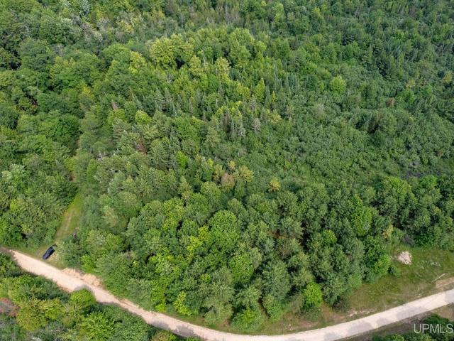 Land for sale in Michigan