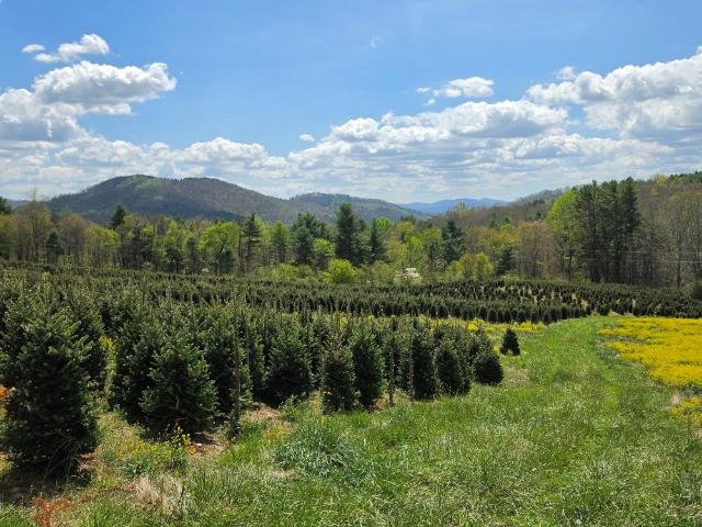 Land for sale in Virginia