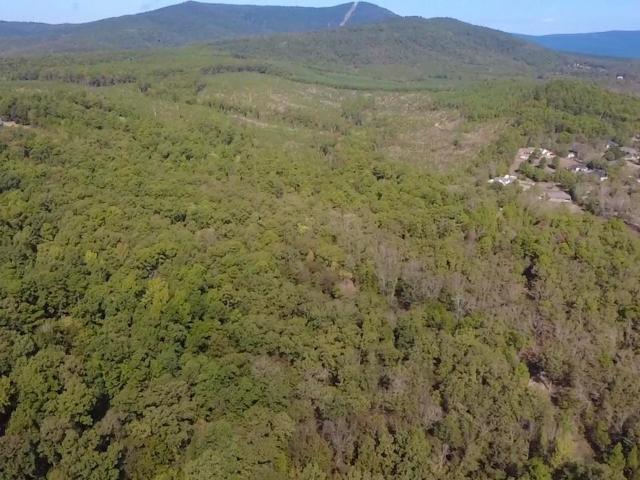 Land for sale in Mena, Polk County