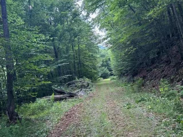 Property for sale in East Jewett, New York