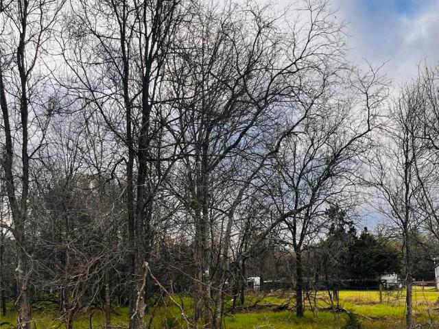 Land for sale in Somerville, Texas