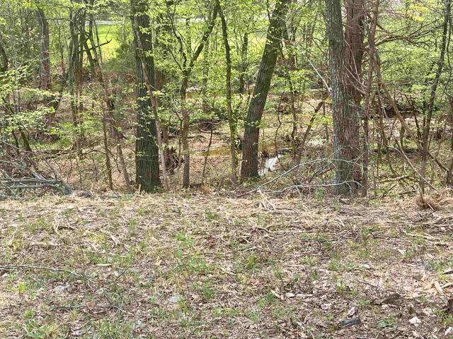 Land for sale in Hardy, Sharp County