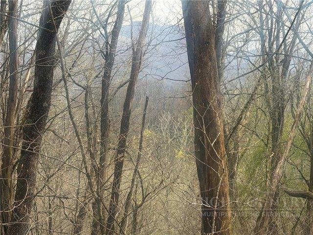 Land for sale in Watauga, North Carolina