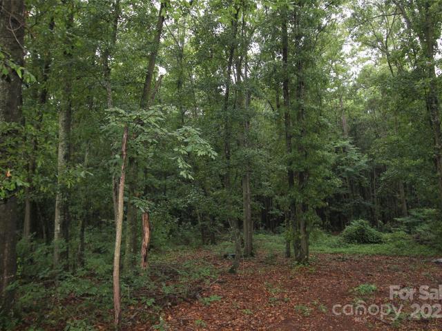 Land for sale in Wadesboro, North Carolina