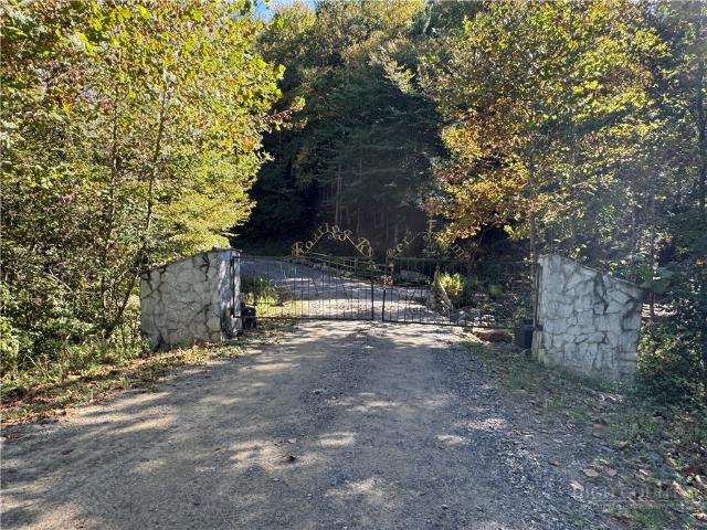 Land for sale in Wilkes County, North Carolina