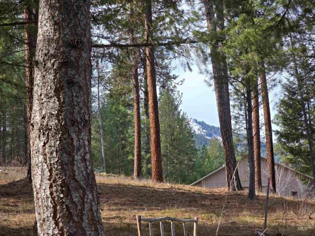 Land for sale in Idaho