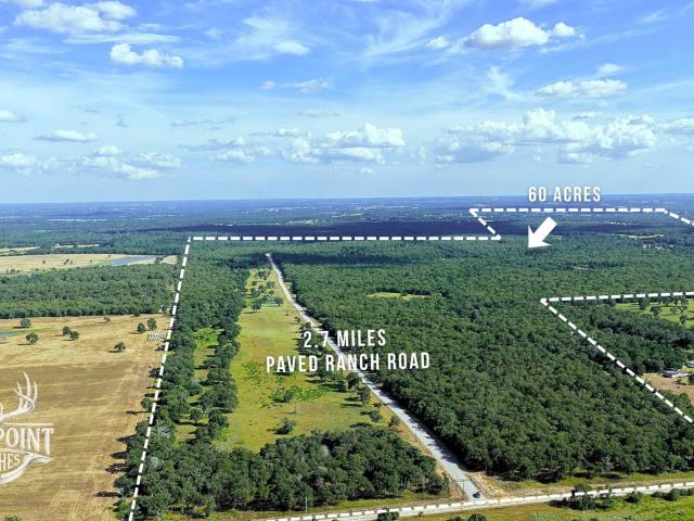 Farm for sale in Lexington, Lee County