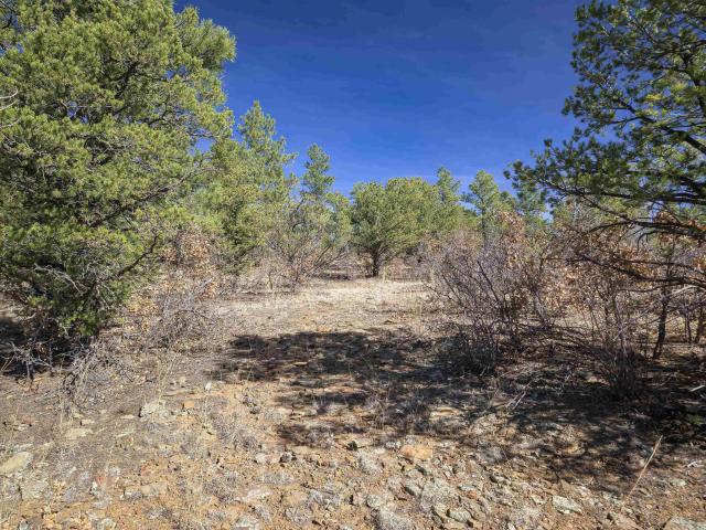 Land for sale in Weston, Colorado