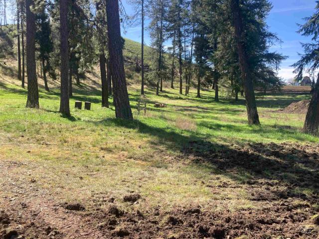 Land for sale in Kamiah, Idaho